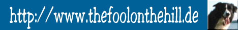 fool banner